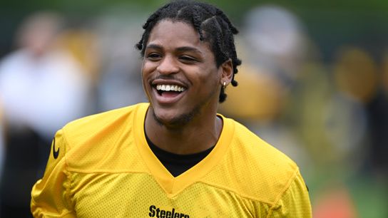 Bush's return critical for Steelers' defense taken on the South Side (Steelers)
